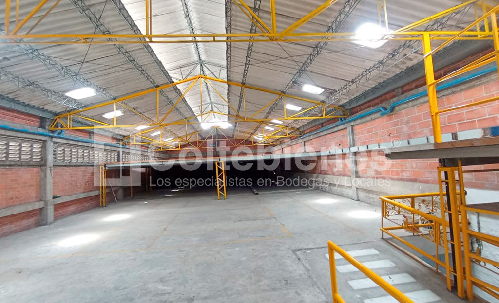 BODEGA-495-41400_18