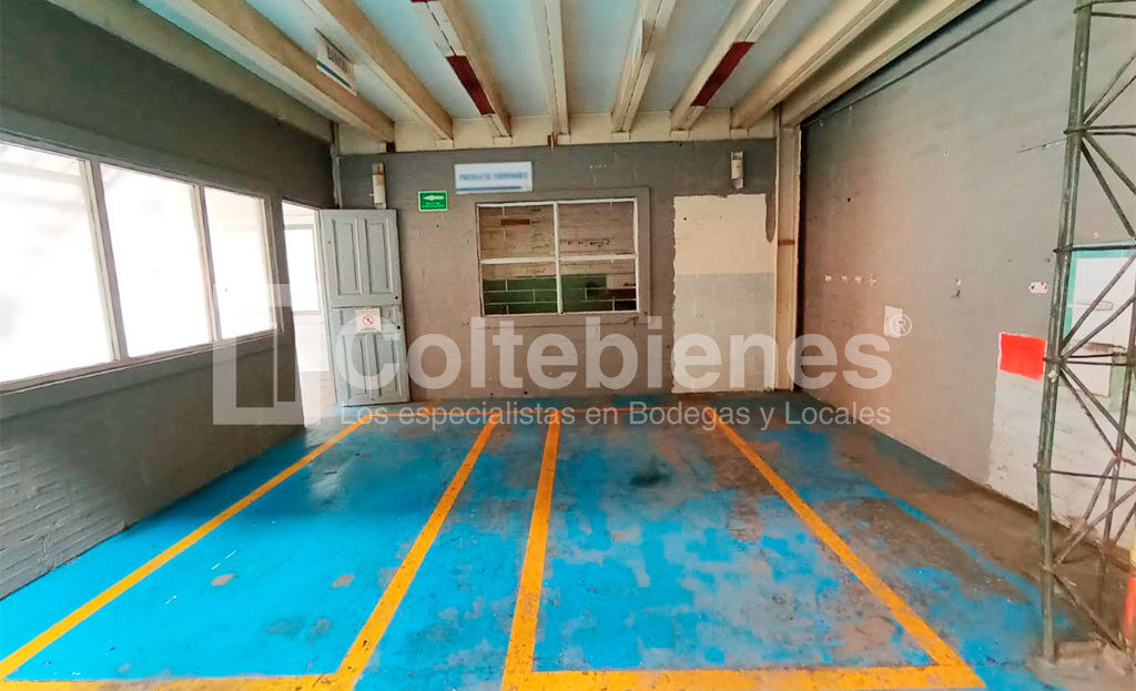 BODEGA-495-41417_1