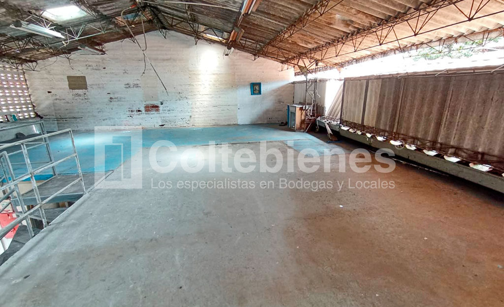 BODEGA-495-41417_10