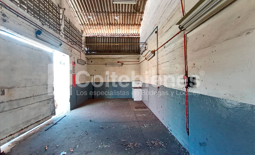 BODEGA-495-41417_13