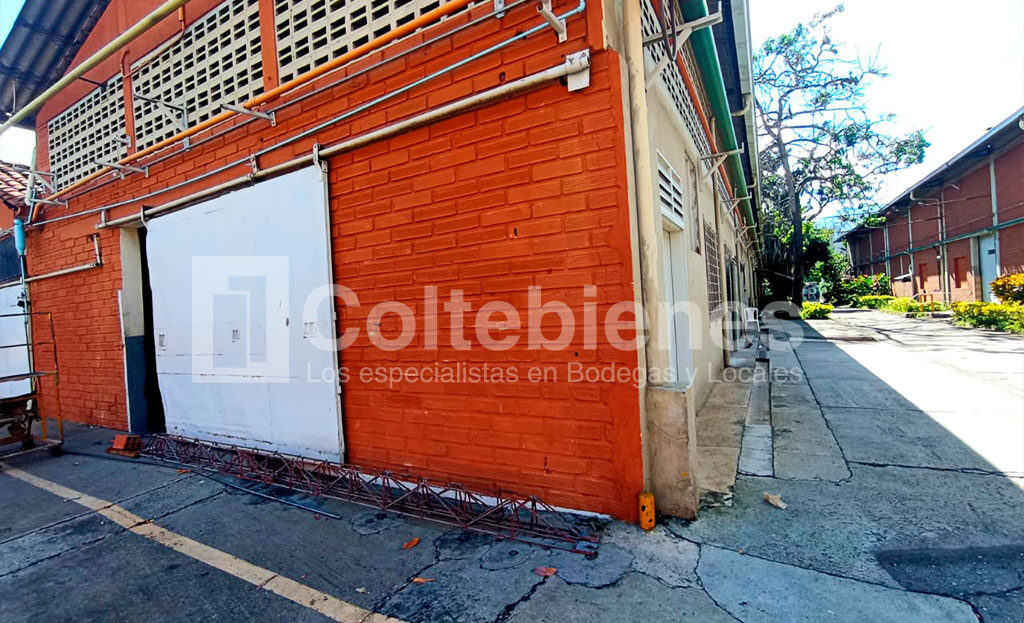 BODEGA-495-41417_15