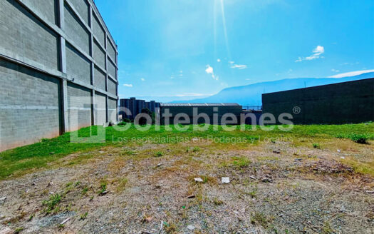 LOTE-113-495-41425_1