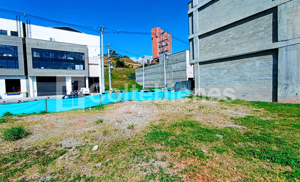 LOTE-113-495-41425_6