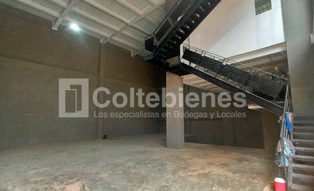 BODEGA-2-495-41444_3