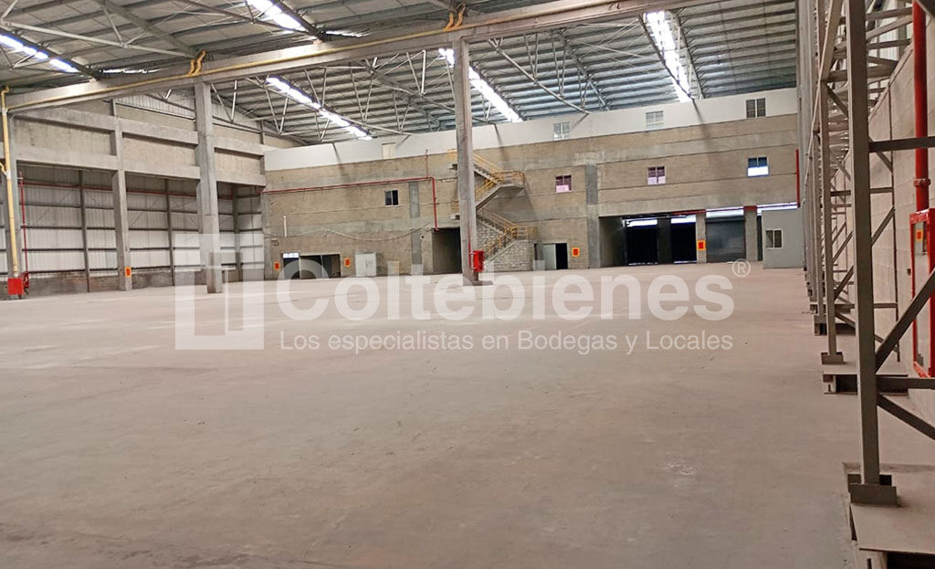 BODEGA-201-495-41462_2