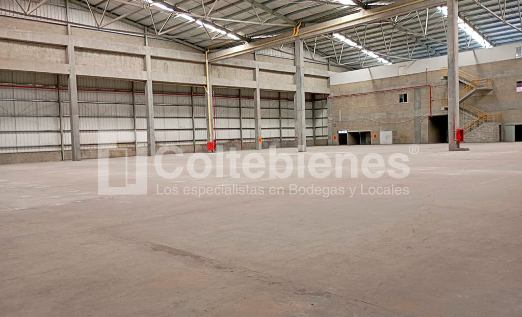 BODEGA-201-495-41462_3