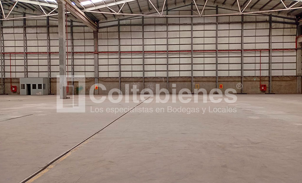 BODEGA-201-495-41462_4