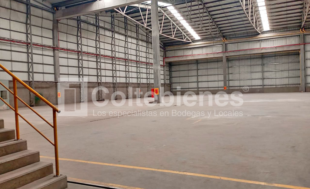 BODEGA-201-495-41462_6