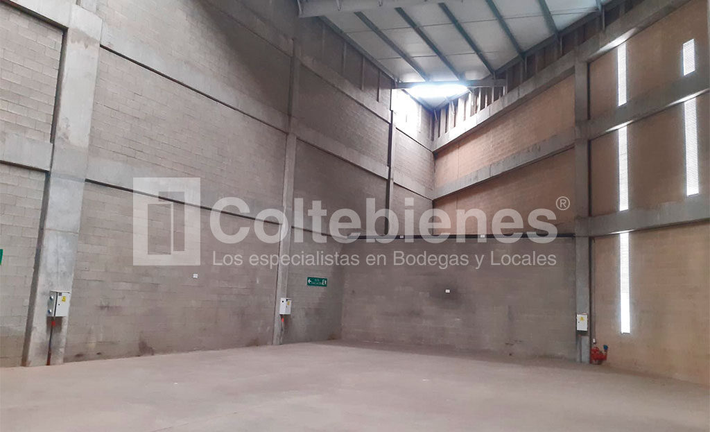 BODEGA-495-41432_1