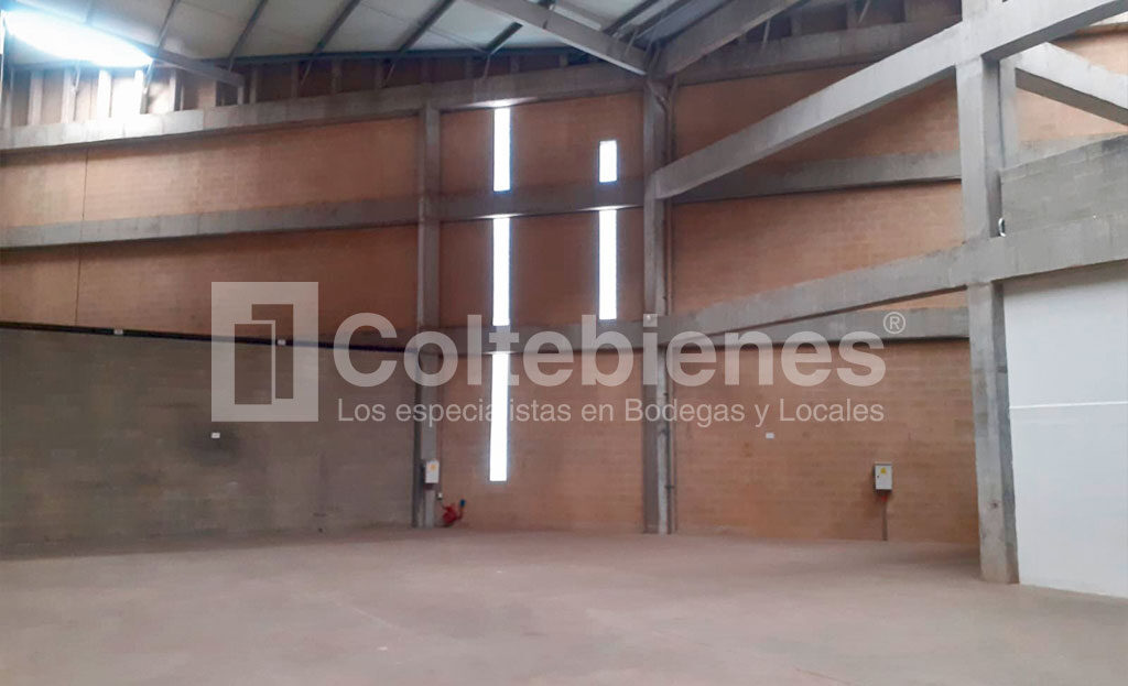 BODEGA-495-41432_3