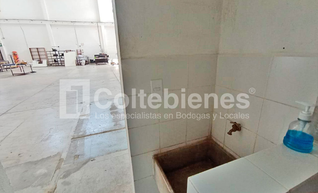 BODEGA-137-495-41137_8