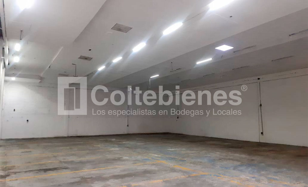 BODEGA-495-41478_2