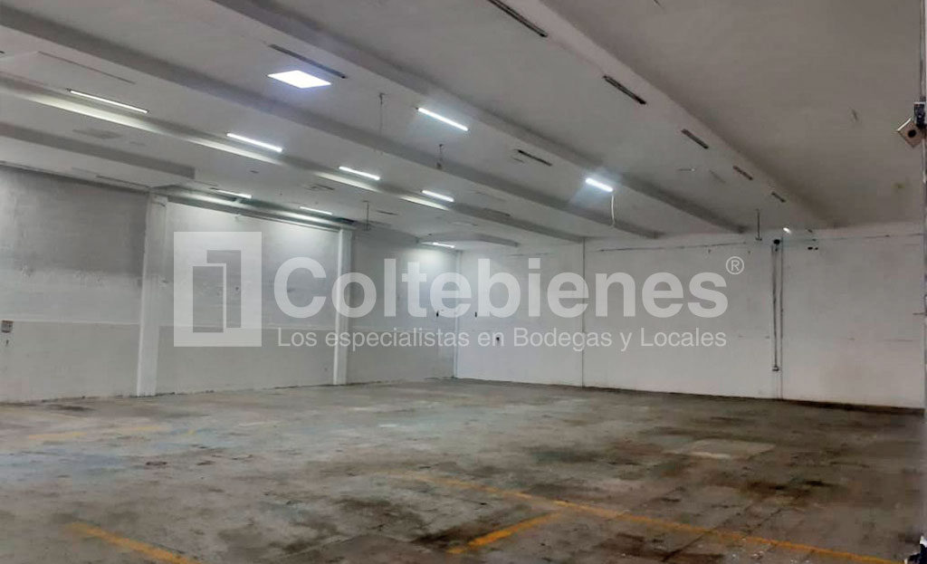 BODEGA-495-41478_3