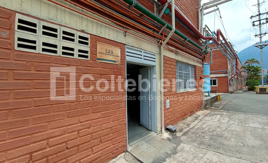 BODEGA-CDA-495-41490_11