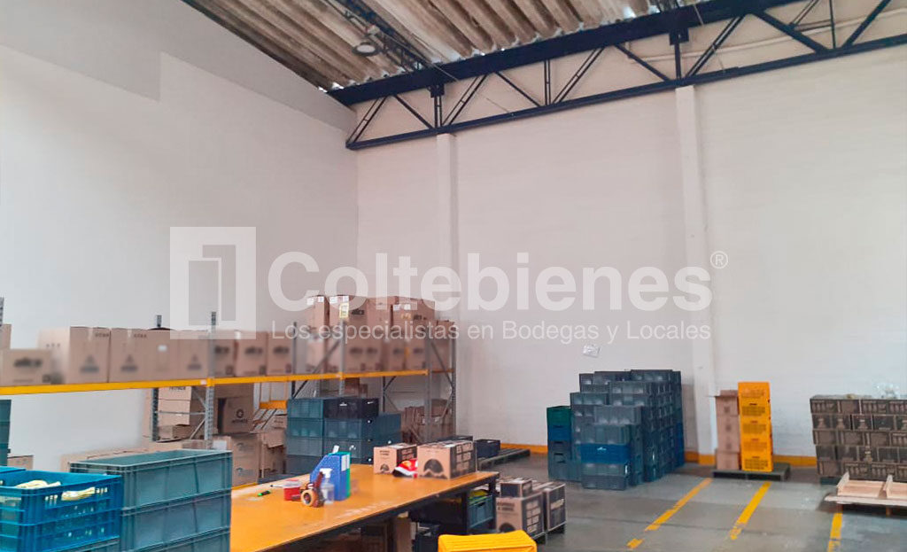 BODEGA-2-495-38475_2