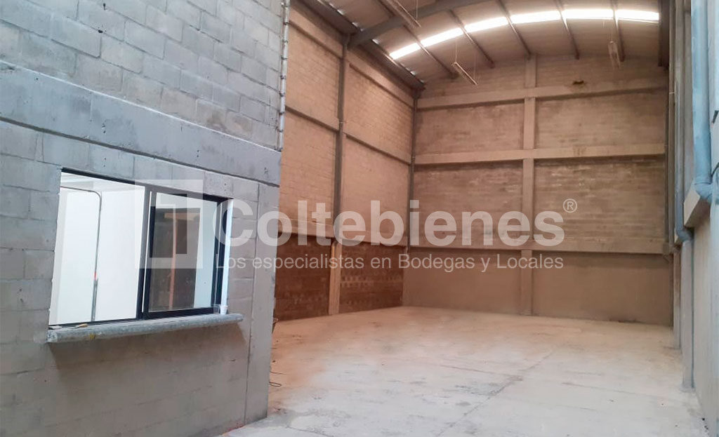 BODEGA-2-495-41564_1