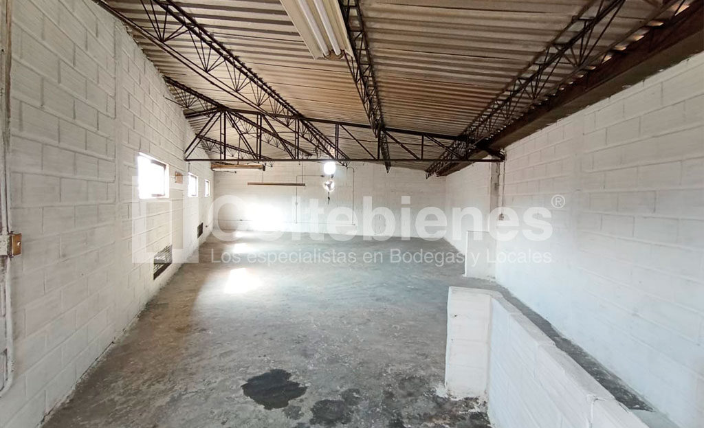 BODEGA-495-41543_21