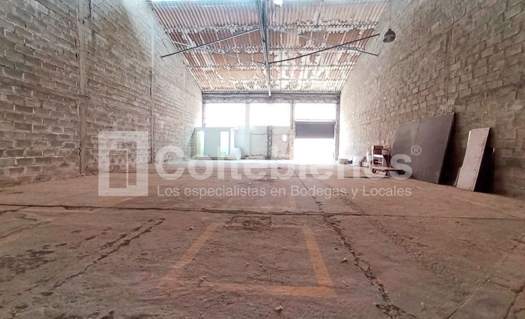 BODEGA-495-41558_8