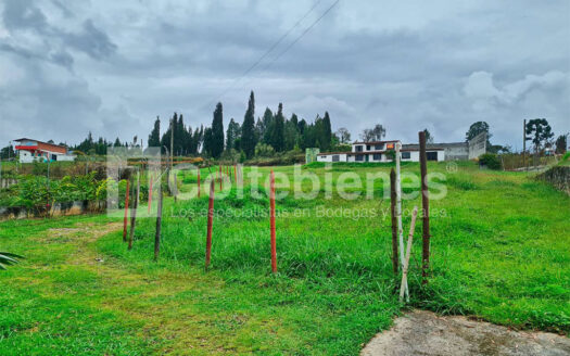 Finca en arriendo en la vereda Hojas Anchas-Guarne