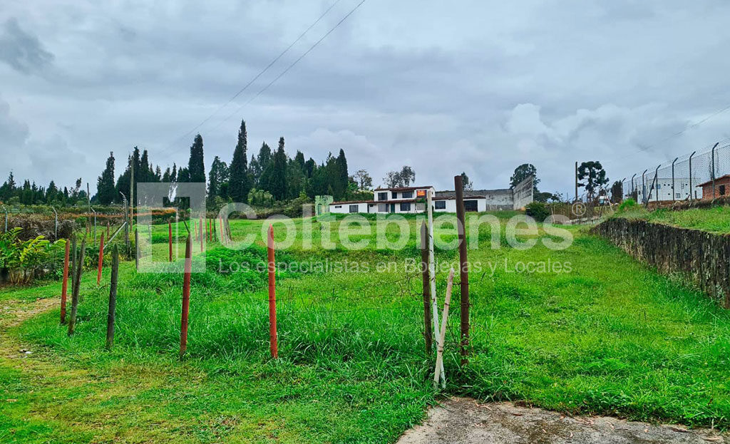 FINCA-LOTE-495-41565_5