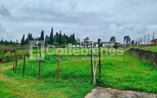 Finca en arriendo en la vereda Hojas Anchas-Guarne