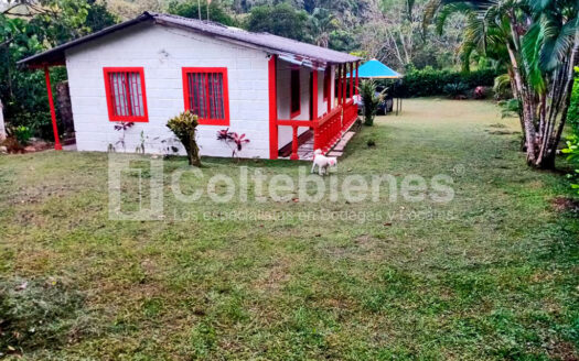 Lote en venta en Cocorná-Antioquia